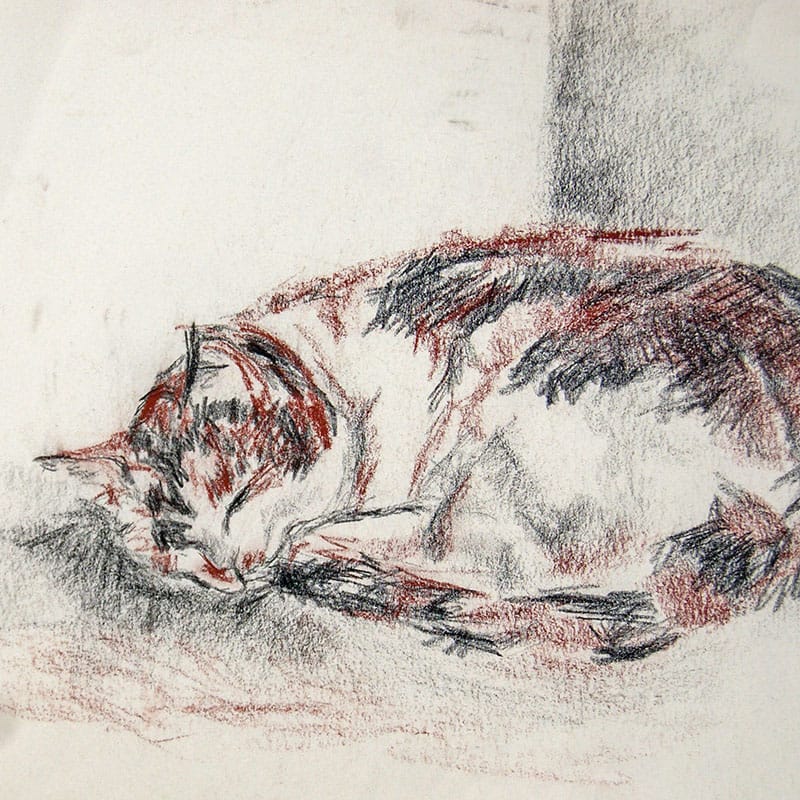 Pastel drawing of Kitty the cat sleeping