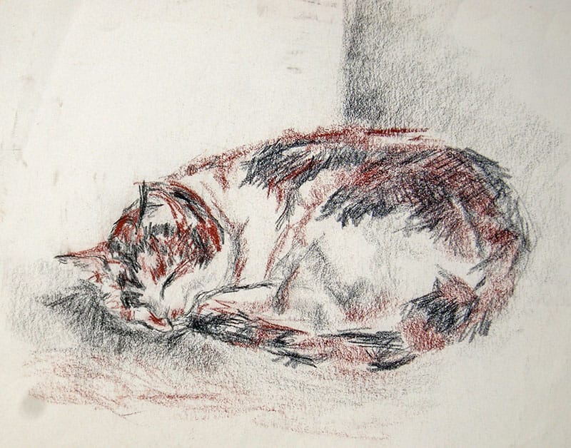 Pastel drawing of Kitty the cat sleeping