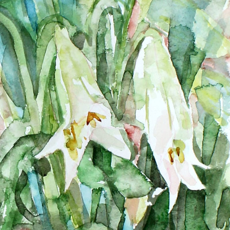 Watercolour painting of white lilies