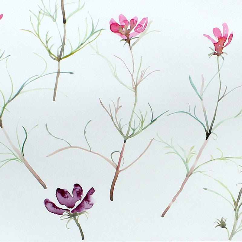 Watercolour painting of cosmos flowers in the wind