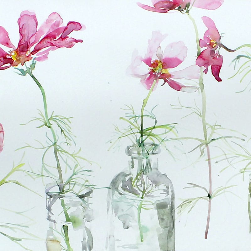 Watercolour painting of cosmos flowers in vases