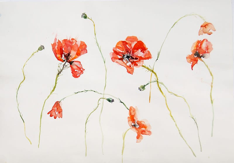Watercolour painting of poppies in the breeze