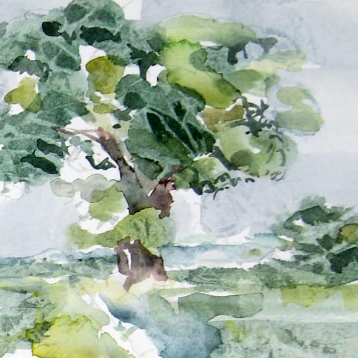 Watercolour painting of a tree in summer