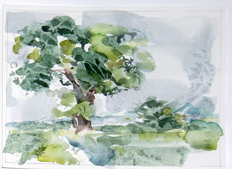 Watercolour painting of a tree in summer