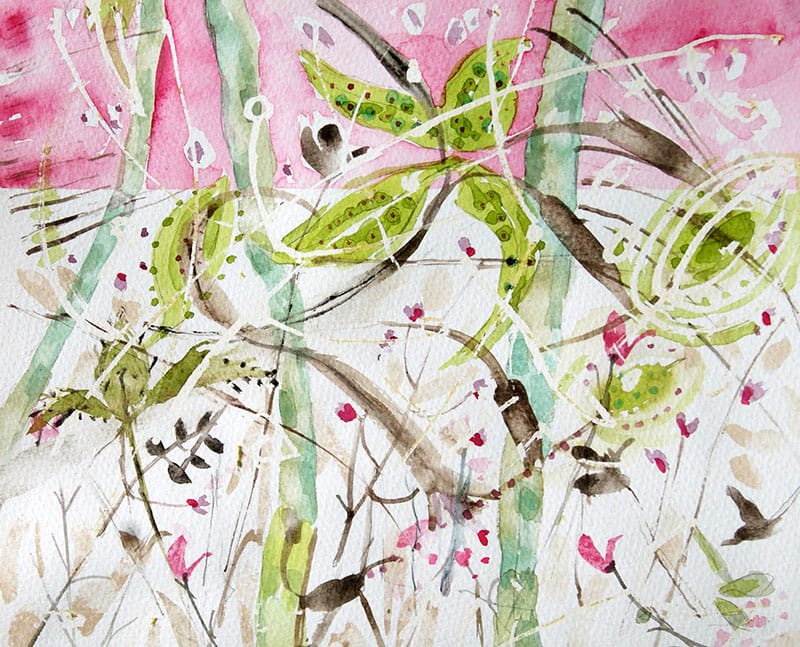 Watercolour painting of seed heads and leaves