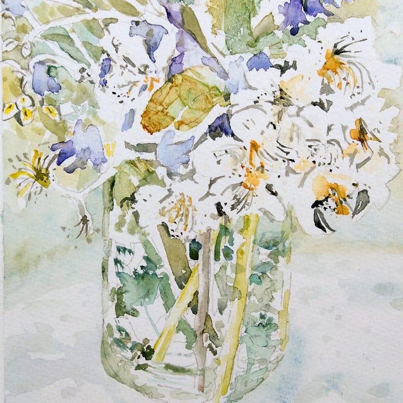 Watercolour painting of apple blossom flowers